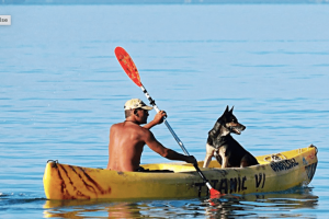 Un kayak de mer avec un homme et un chien
