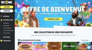 page d'accueil du site Betzino